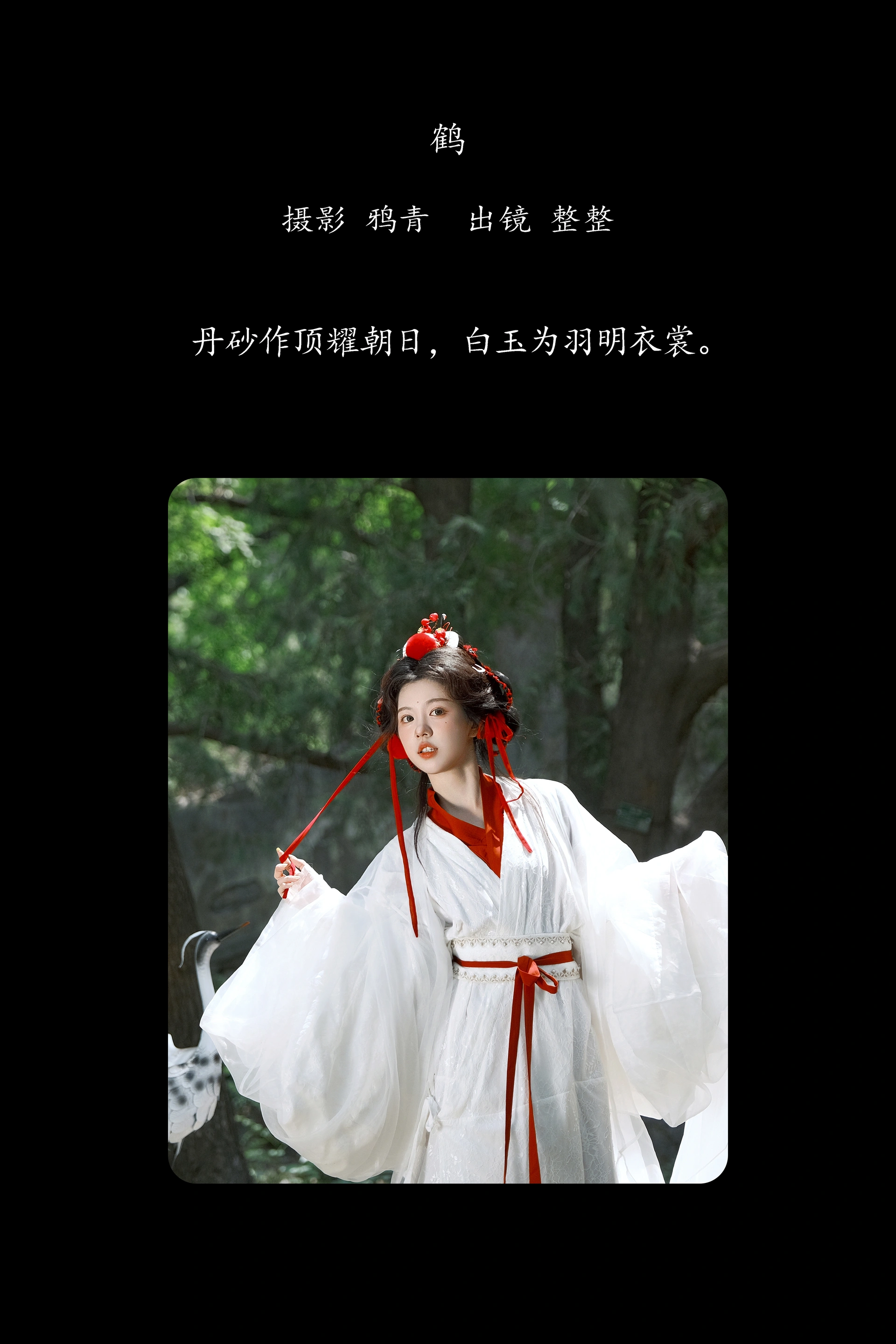 [YITUYU艺图语]2025.02.05 鹤 整整 0